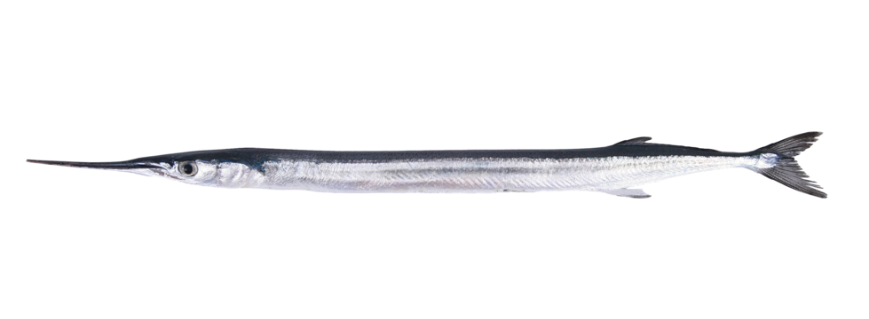 Zargana